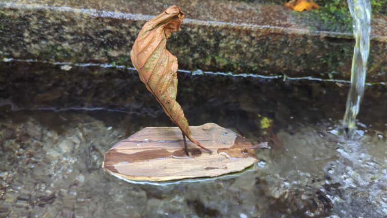 IMG_20240825_130248_593