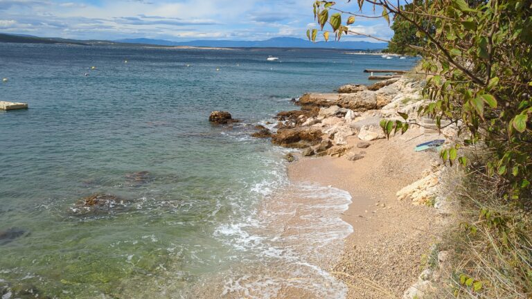 IMG_20240917_122627_076